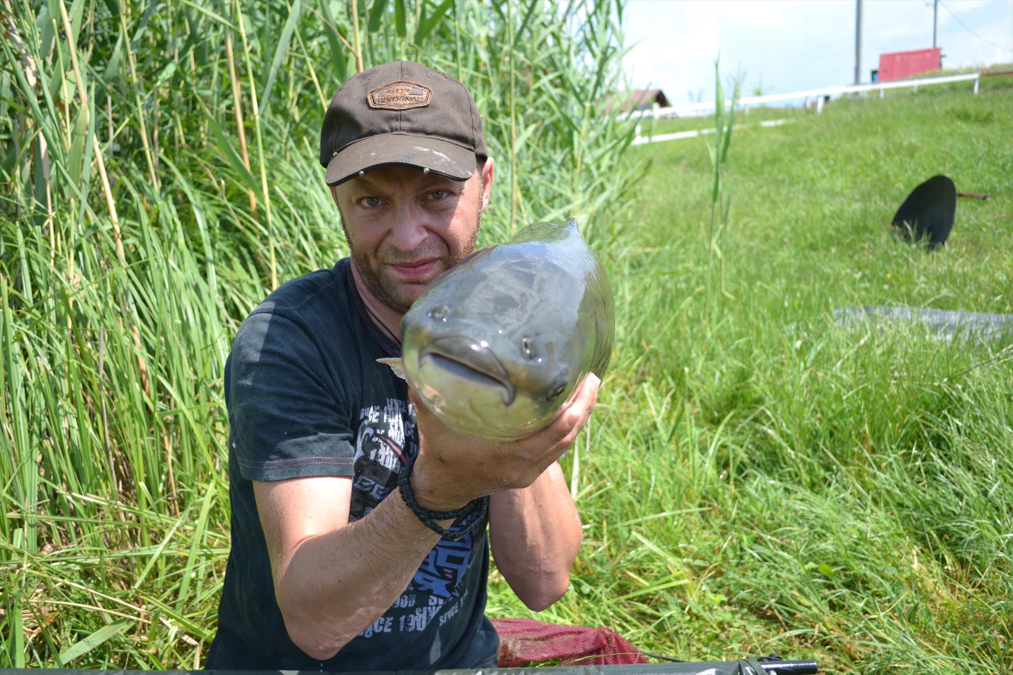 Pescuit Balta Lazar 6-8 iunie 2014 - dsc0041.JPG